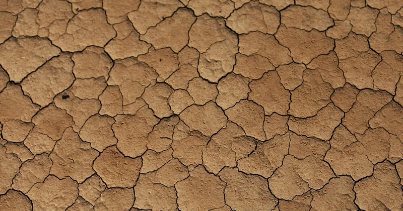Couleurs : ce que le camaïeu beige et blanc change vraiment